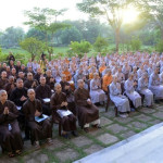 Gần 240 Tăng Ni tham dự thi tuyển sinh vào Học viện Phật giáo VN tại TP.HCM khoá XX